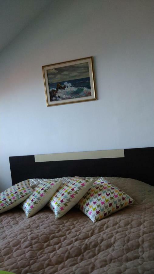 Green Studio Chamkoriya Borovets Exterior foto